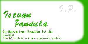 istvan pandula business card